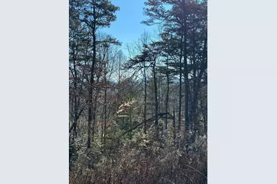 000 Mistletoe Ridge, Murphy, NC 28906 - Photo 32