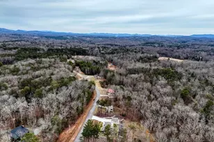 643 Number 20 Mine Rd, Blue Ridge, GA 30555 - Photo 50