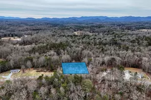 643 Number 20 Mine Rd, Blue Ridge, GA 30555 - Photo 52