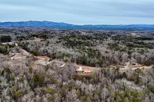 643 Number 20 Mine Rd, Blue Ridge, GA 30555 - Photo 50