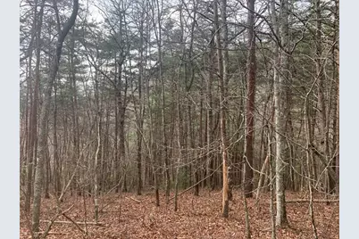 Lot 20 Wolf Ridge Lane, Murphy, NC 28906 - Photo 12