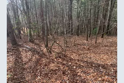 Lot 20 Wolf Ridge Lane, Murphy, NC 28906 - Photo 32