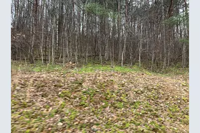Lot 20 Wolf Ridge Lane, Murphy, NC 28906 - Photo 30
