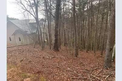 Lot 20 Wolf Ridge Lane, Murphy, NC 28906 - Photo 20