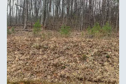 Lot 20 Wolf Ridge Lane, Murphy, NC 28906 - Photo 4