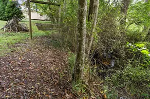 99 Chatuge Hills Dr, Hayesville, NC 28904 - Photo 36