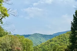 1351 Cody Br, Robbinsville, NC 28771 - Photo 2