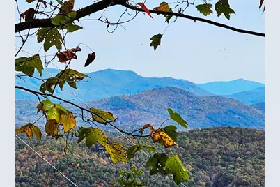 339 Game Trail Drive, Brasstown, NC 28902 - Photo 22