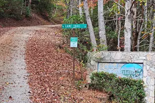 339 Game Trail Dr, Brasstown, NC 28902 - Photo 56