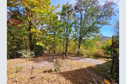 339 Game Trail Drive, Brasstown, NC 28902 - Photo 48