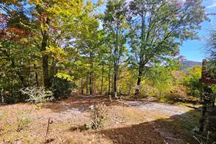 339 Game Trail Dr, Brasstown, NC 28902 - Photo 48