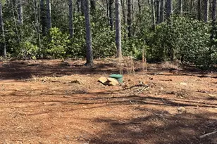 3530 Grape Creek Rd, Murphy, NC 28906 - Photo 38