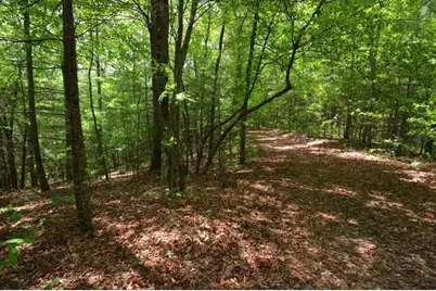 51-53 Hickory Lane, Robbinsville, NC 28771 - Photo 14