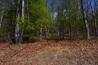 51-53 Hickory Lane, Robbinsville, NC 28771 - Photo 6