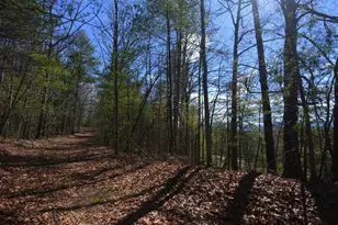 51-53 Hickory Ln, Robbinsville, NC 28771 - Photo 1