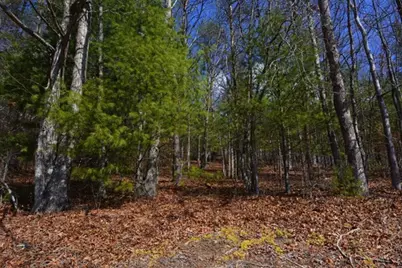 51-53 Hickory Lane, Robbinsville, NC 28771 - Photo 8