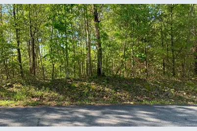Lot 57 Fires Creek Cove, Hayesville, NC 28904 - Photo 1