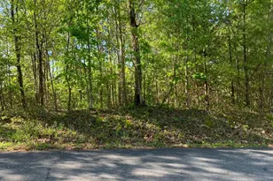 Lot 57 Fires Creek Cove, Hayesville, NC 28904 - Photo 1