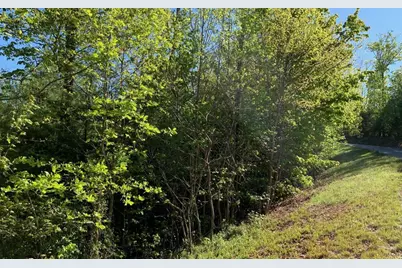 Lot 57 Fires Creek Cove, Hayesville, NC 28904 - Photo 20