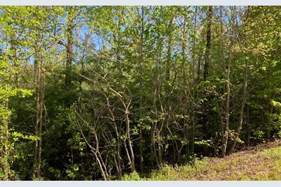 Lot 57 Fires Creek Cove, Hayesville, NC 28904 - Photo 8