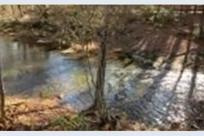 Lot 57 Fires Creek Cove, Hayesville, NC 28904 - Photo 12