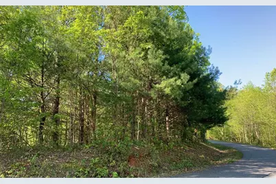Lot 57 Fires Creek Cove, Hayesville, NC 28904 - Photo 10
