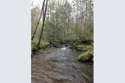 55 Greasey Creek Road, Murphy, NC 28906 - Photo 2
