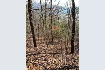 Lot 56C Indian Trail, Hayesville, NC 28904 - Photo 1