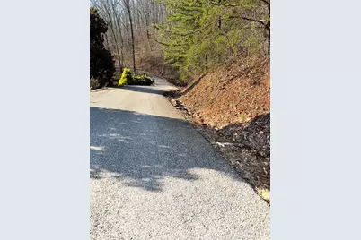 Lot 56C Indian Trail, Hayesville, NC 28904 - Photo 2