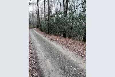 Lots 9, 10, 11, 15 & 17 Mary Lane, Hayesville, NC 28904 - Photo 12