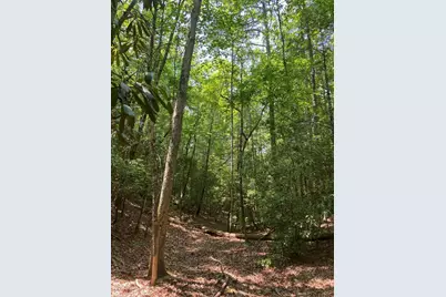 Lot 34 Point Overlook Trail, Murphy, NC 28906 - Photo 14