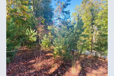 Lot 34 Point Overlook Trail, Murphy, NC 28906 - Photo 1