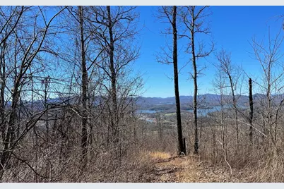 Lot 14 Mountain Harbour, Hayesville, NC 28904 - Photo 44