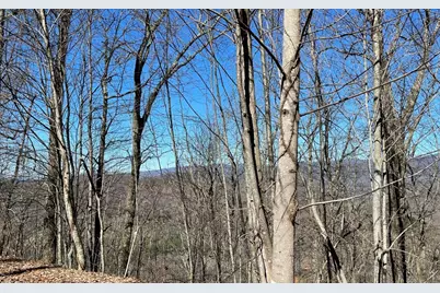 Lot 14 Mountain Harbour, Hayesville, NC 28904 - Photo 34