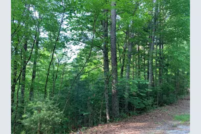 Lot 43 Kestrel Ridge Circle, Murphy, NC 28906 - Photo 8