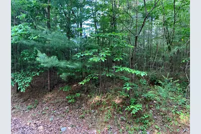 Lot 43 Kestrel Ridge Circle, Murphy, NC 28906 - Photo 12