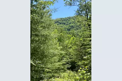00 Deer Run, Robbinsville, NC 28771 - Photo 8