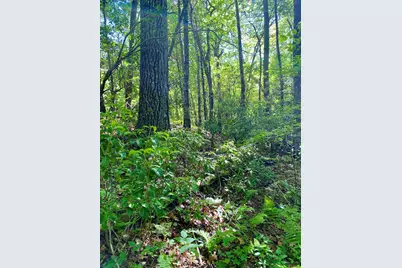 00 Deer Run, Robbinsville, NC 28771 - Photo 1
