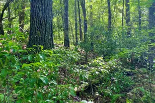 00 Deer Run, Robbinsville, NC 28771 - Photo 1