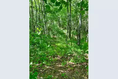 00 Deer Run, Robbinsville, NC 28771 - Photo 4