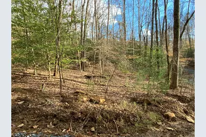 Lot 9 Ivy Log Road, Murphy, NC 28906 - Photo 4