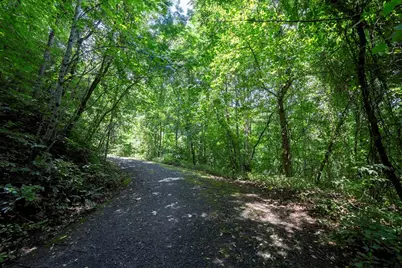 0 E Buffalo, Robbinsville, NC 28771 - Photo 1