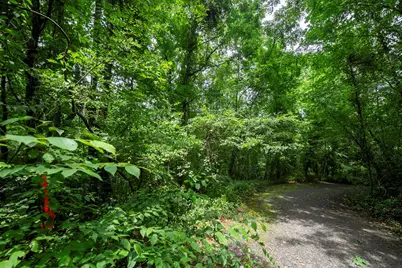 0 E Buffalo, Robbinsville, NC 28771 - Photo 6