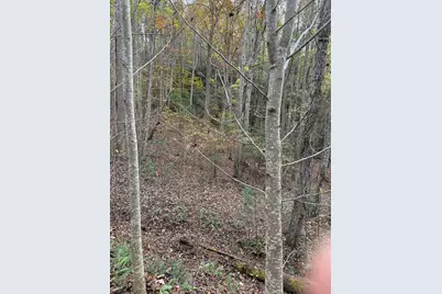 00 Heritage Trail, Murphy, NC 28906 - Photo 6