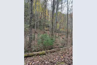 00 Heritage Trail, Murphy, NC 28906 - Photo 2