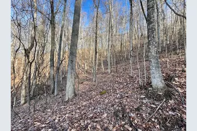 Lot 73 Hidden Treasure, Murphy, NC 28906 - Photo 6