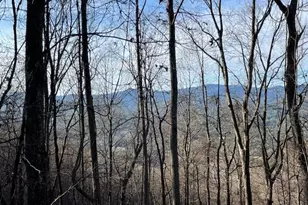 Lot 73 Hidden Treasure, Murphy, NC 28906 - Photo 1