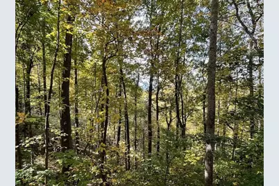 Lot 73 Hidden Treasure, Murphy, NC 28906 - Photo 20