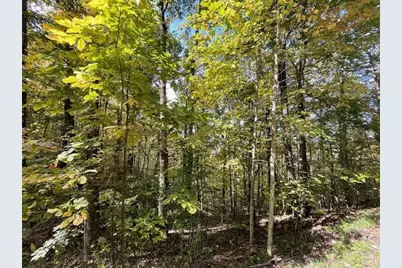 Lot 73 Hidden Treasure, Murphy, NC 28906 - Photo 24