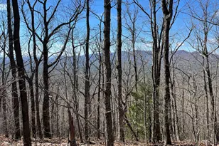 Tbd Treehouse Trail, Murphy, NC 28906 - Photo 1